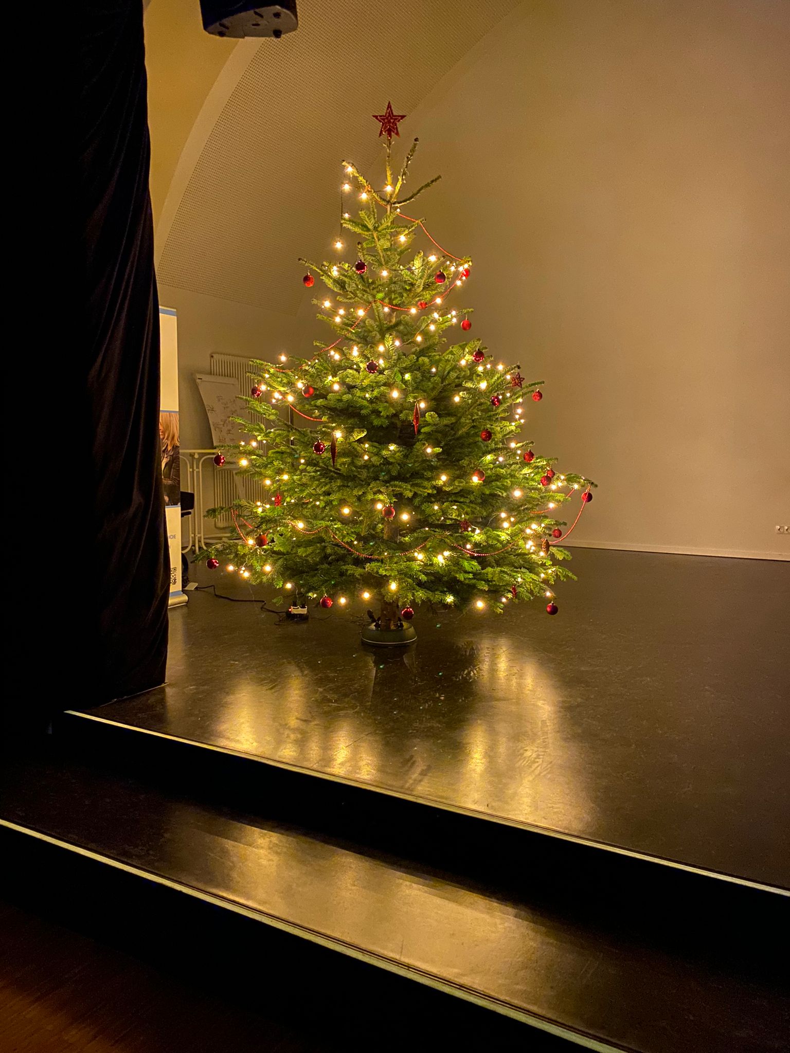 Weihnachtsbaum B1_1